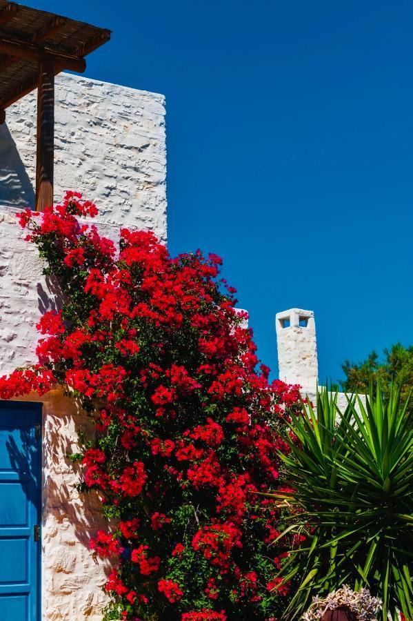 Santa Maria Traditional Stone Studio Екстериор снимка